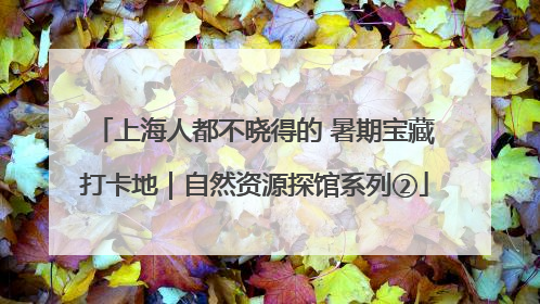 上海人都不晓得的 暑期宝藏打卡地｜自然资源探馆系列②