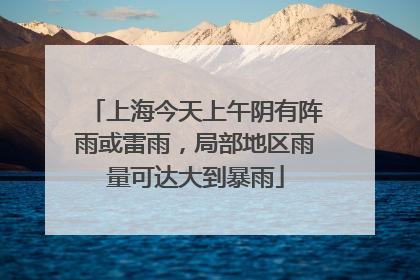 上海今天上午阴有阵雨或雷雨，局部地区雨量可达大到暴雨