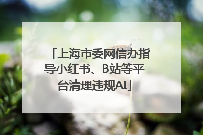 上海市委网信办指导小红书、B站等平台清理违规AI