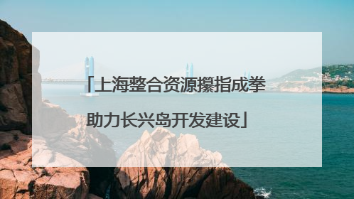 上海整合资源攥指成拳助力长兴岛开发建设