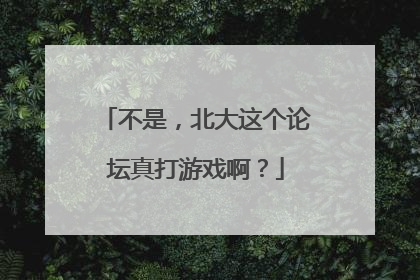 不是，北大这个论坛真打游戏啊？