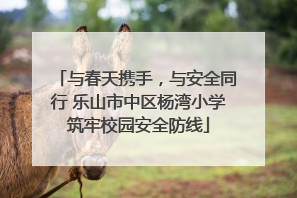 与春天携手，与安全同行 乐山市中区杨湾小学筑牢校园安全防线