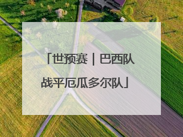 世预赛｜巴西队战平厄瓜多尔队
