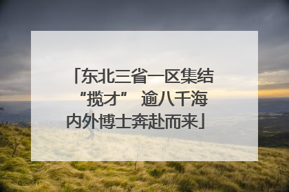 东北三省一区集结“揽才” 逾八千海内外博士奔赴而来