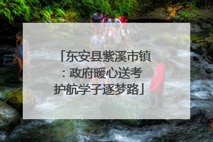 东安县紫溪市镇：政府暖心送考 护航学子逐梦路