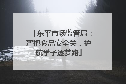 东平市场监管局：严把食品安全关，护航学子逐梦路
