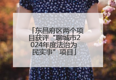东昌府区两个项目获评“聊城市2024年度法治为民实事”项目