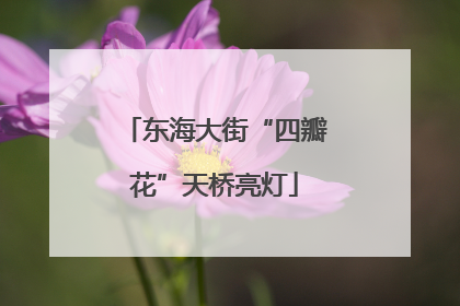 东海大街“四瓣花”天桥亮灯