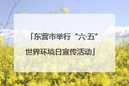 东营市举行“六·五”世界环境日宣传活动