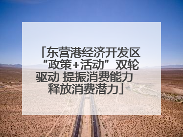 东营港经济开发区“政策+活动”双轮驱动 提振消费能力 释放消费潜力