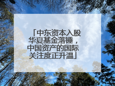中东资本入股华夏基金落锤，中国资产的国际关注度正升温