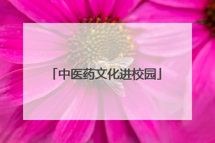 中医药文化进校园