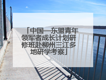 中国—东盟青年领军者成长计划研修班赴柳州三江多地研学考察