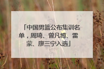 中国男篮公布集训名单，周琦、曾凡博、雷蒙、廖三宁入选