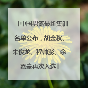 中国男篮最新集训名单公布，胡金秋、朱俊龙、程帅澎、余嘉豪再次入选