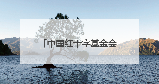 中国红十字基金会探望“天使之旅”青海先心病患儿