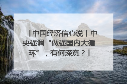 中国经济信心说丨中央强调“做强国内大循环”，有何深意？