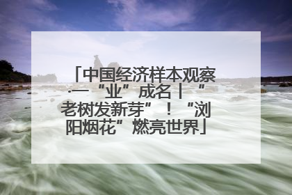 中国经济样本观察·一“业”成名丨“老树发新芽”！“浏阳烟花”燃亮世界