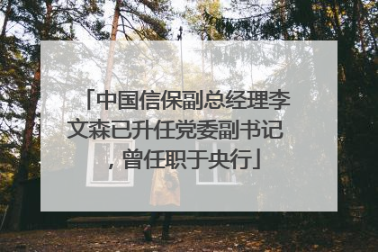 中国信保副总经理李文森已升任党委副书记，曾任职于央行
