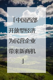 中国西部开放型经济为民营企业带来新商机