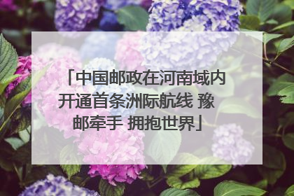中国邮政在河南域内开通首条洲际航线 豫邮牵手 拥抱世界