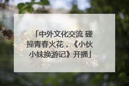 中外文化交流 碰撞青春火花，《小伙小妹换游记》开播