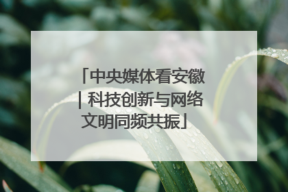 中央媒体看安徽｜科技创新与网络文明同频共振