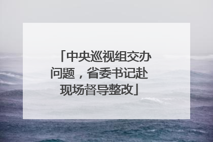 中央巡视组交办问题，省委书记赴现场督导整改