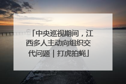 中央巡视期间，江西多人主动向组织交代问题｜打虎拍蝇
