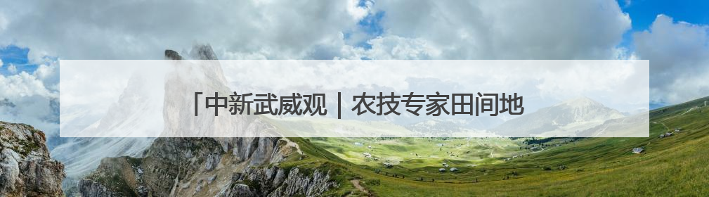 中新武威观｜农技专家田间地头“把脉开方”送“及时雨”