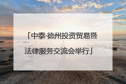 中泰·德州投资贸易暨法律服务交流会举行
