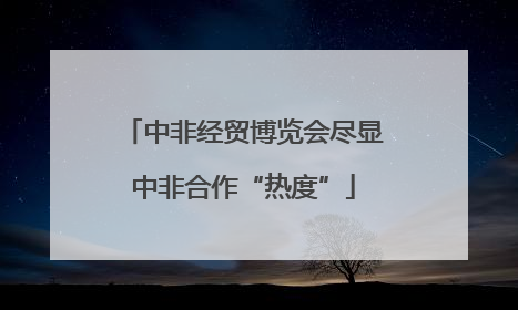 中非经贸博览会尽显中非合作“热度”