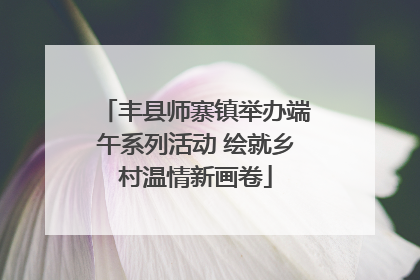 丰县师寨镇举办端午系列活动 绘就乡村温情新画卷