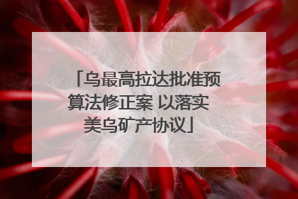 乌最高拉达批准预算法修正案 以落实美乌矿产协议