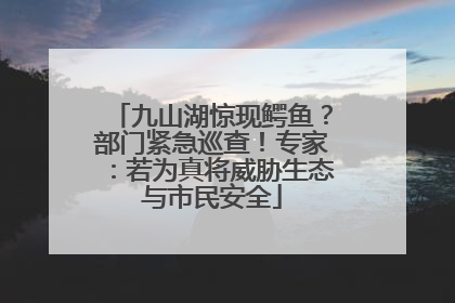 九山湖惊现鳄鱼？部门紧急巡查！专家：若为真将威胁生态与市民安全