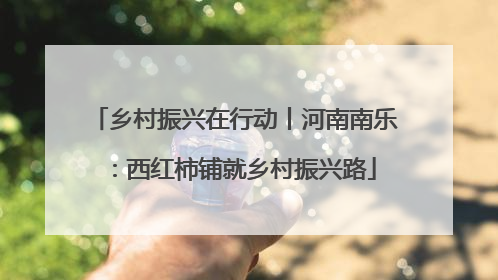 乡村振兴在行动丨河南南乐：西红柿铺就乡村振兴路