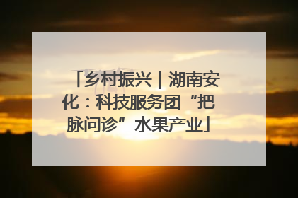 乡村振兴｜湖南安化：科技服务团“把脉问诊”水果产业