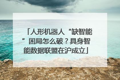 人形机器人“缺智能”困局怎么破？具身智能数据联盟在沪成立