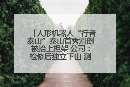 人形机器人“行者泰山”泰山首秀滑倒被抬上担架 公司：检修后独立下山 测试就是为暴露问题