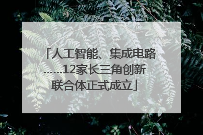 人工智能、集成电路……12家长三角创新联合体正式成立