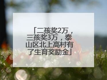 二孩奖2万，三孩奖3万，泰山区北上高村有了生育奖励金