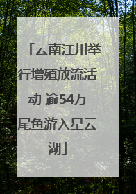 云南江川举行增殖放流活动 逾54万尾鱼游入星云湖