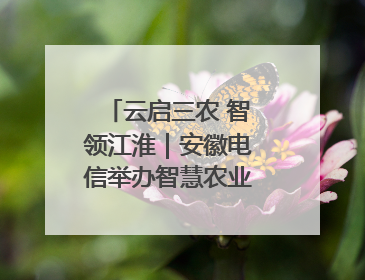 云启三农 智领江淮｜安徽电信举办智慧农业主题会议