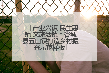 产业兴镇 民生惠镇 文旅活镇：谷城县五山镇打造乡村振兴示范样板