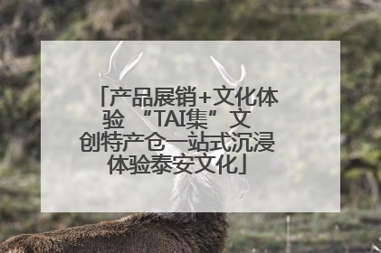 产品展销+文化体验 “TAI集”文创特产仓一站式沉浸体验泰安文化