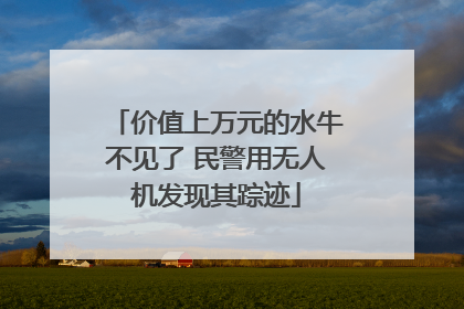 价值上万元的水牛不见了 民警用无人机发现其踪迹