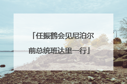 任振鹤会见尼泊尔前总统班达里一行