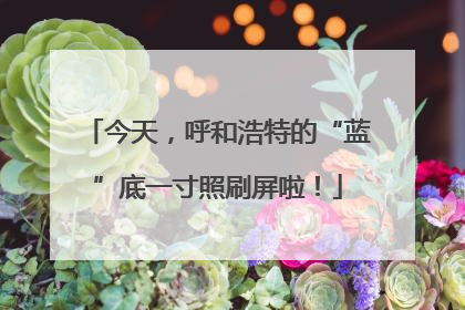 今天，呼和浩特的“蓝”底一寸照刷屏啦！