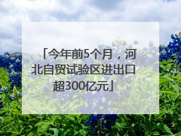 今年前5个月，河北自贸试验区进出口超300亿元