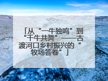 从“一牛独鸣”到“千牛共舞”——古渡河口乡村振兴的“牧场答卷”